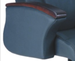 ��Ƥ�����CG-A6001KTG-XJ1����